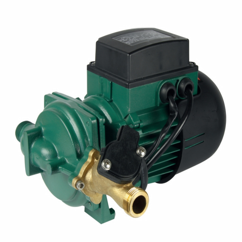 Domestic water pump