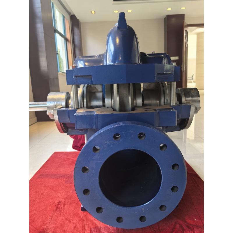 The structure and working principle of double suction pump