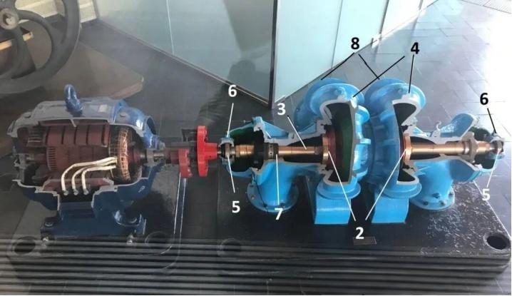 centrifugal pump