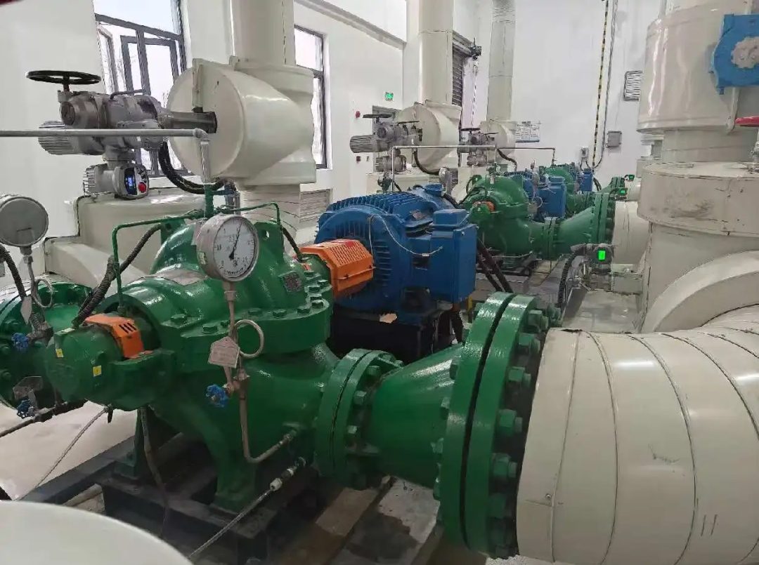 circulating cooling water pumps